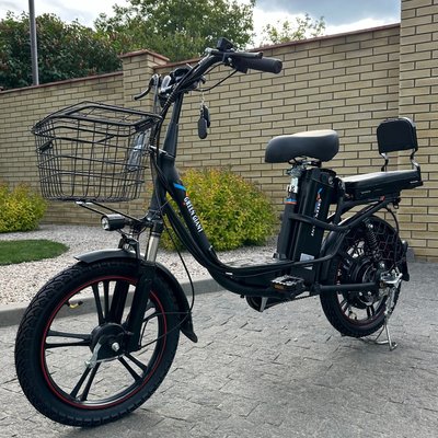 Электровелосипед GREEN GIANT U18  Pro (60V, 20Ah, 600W) с амортизатором | черный | с раскладным сиденьем-багажником 09093 фото