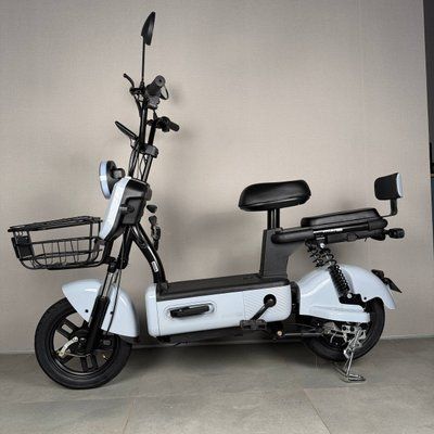 EVOBIKE Nova S 500W міський електровелосипед з пасажирським сидінням, поворотниками, корзиною та дисплеєм, 48V 12Ah (економний, до 40 км/год), світло-сірий глянець 547652 фото