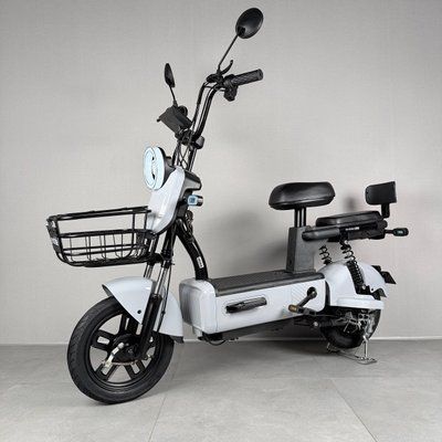 EVOBIKE Nova S 500W 48V 12Ah зручний електровелосипед з 2 сидіннями, корзиною та поворотниками, простий і надійний, для міста і села, світло-сірий глянець 569076 фото