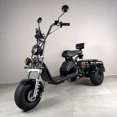 Електровелосипед EVOBIKE Grizzly X3 PRO чорний  | 24Ah 48V 2500W | трьохколісний з вантажним багажником ( модель 2026 року ) 87542 фото