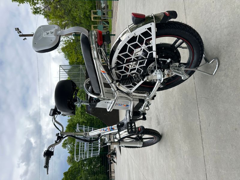 Електровелосипед GREEN GIANT 18"  Сірий ( модель 2023 року 600 W 60 V 18 Аh) 1750 фото