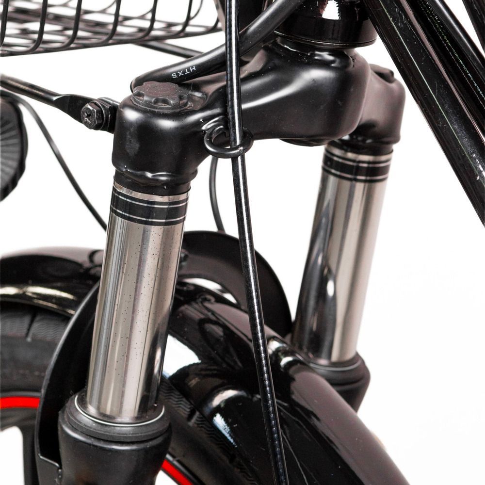 Электровелосипед EVOBIKE X-City U20 800W 48V 26Ah двухместный, 20" колеса, с двойной амортизацией, PAS и сиденьем-багажником 2 в 1 86542 фото