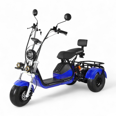 Электровелосипед EVOBIKE Grizzly X3 PRO синий | 24Ah 48V 2500W | трехколесный с грузовым багажником 200095 фото