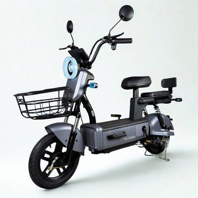 EVOBIKE Nova S 500W 48V 12Ah зручний електровелосипед з 2 сидіннями, корзиною та поворотниками, простий і надійний, для міста і села, графітового кольору 19261456 фото